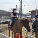 가평초등학교 앞 이미지