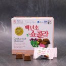 푸른 제주 이미지