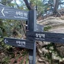 장암세탁 이미지