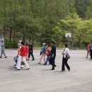 주암초등학교 이미지