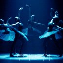 시네마댄스 이미지