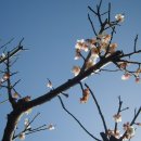 신제주초등학교 이미지