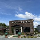 사탕수수족욕카페 | [사탕수수 족욕 카페] 힐링이 필요하다면, 여기로 족욕/보드게임/카페 다 누릴 수 있어요-