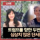 '트럼프향한 두번째 암살시도, 심상치 않은 단서들' Mkim TV Live 이미지