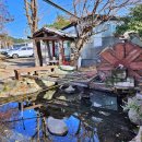 엄마와까치집두개 이미지