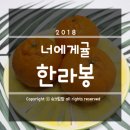 귤굿굿이