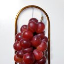 홍주농장 이미지