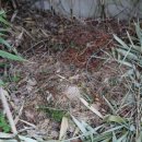 신우민박 이미지