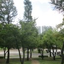 배다리생태공원 이미지