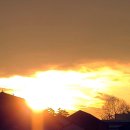 세종공인행정사사무소 이미지