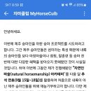 제주특별자치도 방문 자연인마술 교육 및 체험 시연 이미지