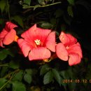 녹수청산가든 이미지