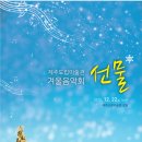 제주도립미술관 Daum카페