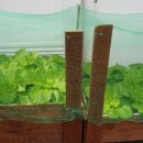 자라경로당 이미지