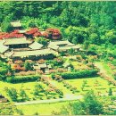 상록마을길 이미지