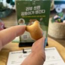 스파 짐 이미지