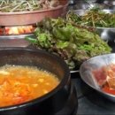 테라스비어