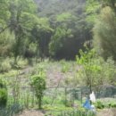 포항시북구76 이미지