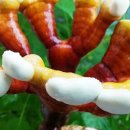 영지2농장 이미지