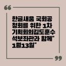 새움기획