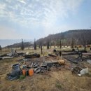 스테이 그로브 이미지