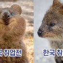 뉴잡