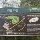 노꼬메식품