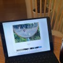 성남대로 1139번길 이미지