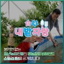도도1농장 네이버블로그