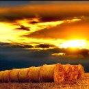 하늘과땅 이미지