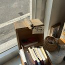 완주고산점 빽다방 | [완주군 고산면 카페 '스페인아오라'] 전주 근교 사워도우 맛집 내돈내산 솔직후기