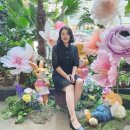 신정4동어린이집 이미지