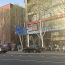 공포마라탕 | 여행 2편 🌸| 유튜버 상윤쓰 마라탕 "상상" 솔직 후기, 안산 자락길 산책, 다시 돌아온 공포의 텔레스테이션