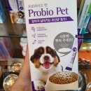 본애견미용실 이미지