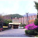 의료법인 축령복음병원 이미지