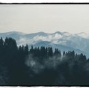 새길치과의원 이미지