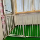 멍머니 2호점 | 멍머니 2호점 11월18일 유치원 or 호텔친구들 전지역 픽드랍가능