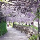 풀꽃민박 이미지