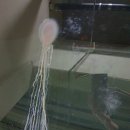 1급CT자동차 이미지