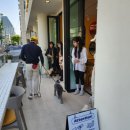 피터펫 논현점 이미지