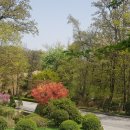 태릉유아숲체험원 네이버블로그