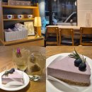 탐앤탐스용인 | 땃트커피 용인시티점, 용인 구성 언남동 카페 블루베리치즈케이크 맛집 내돈내산 후기