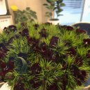 김해제일치과의원 이미지