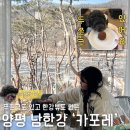 양평애견택시 | 양평 두쫀쿠 카포레 실내 애견동반 양평 대형카페 후기