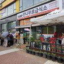 투철함 이미지