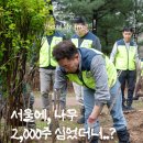강동 사회적기업협의회 | 기업ESG 임직원봉사활동 나무심기사업의 효과와 후기