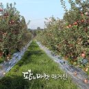 정읍시농업기술센터
