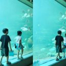 (주)아라마루 | 경남 사천 여행 ) 아라마루 아쿠아리움 내돈내산 후기