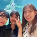 서대전역관광안내소 | [대전] 서울에서 대전 당일치기, 즉흥여행 - 성심당본점, 태화장(멘보샤), 대전엑스포아쿠아리움(할인...