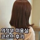(주)혜경 | 의정부역미용실 코르브 혜경수석 전체염색 후기 염색맛집 발견